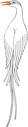 Eliza Kerr Logo